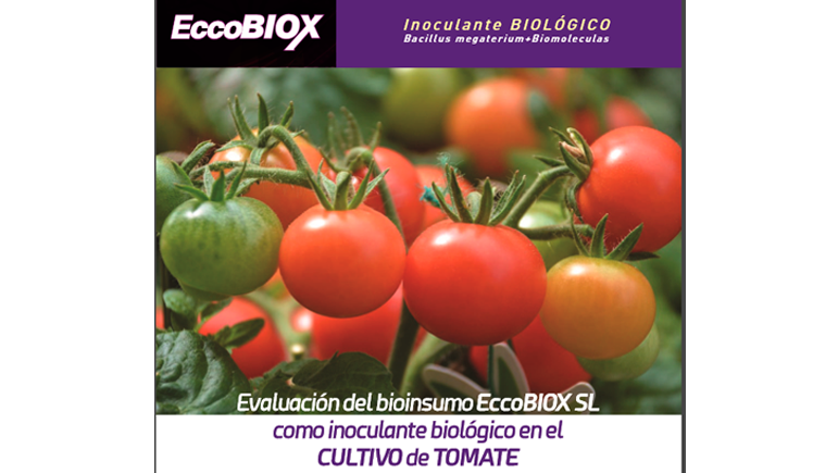 EccoBIOX, Inoculante BiolÃ³gico Bacillus megaterium + Biomoleculas